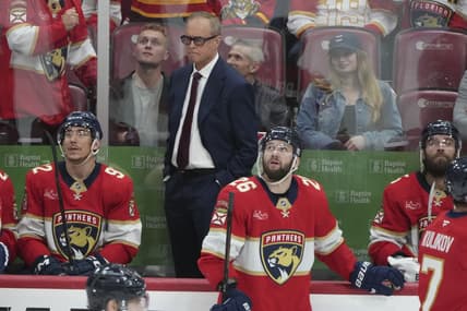 Panthers hurricanes