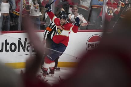 Barkov panthers