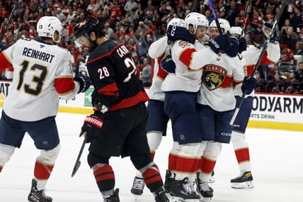 Florida panthers