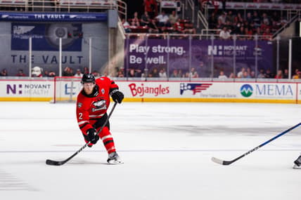 Florida panthers