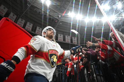 Florida panthers