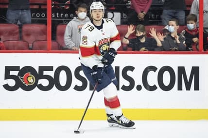 Florida panthers