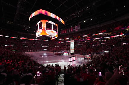 Florida panthers cup