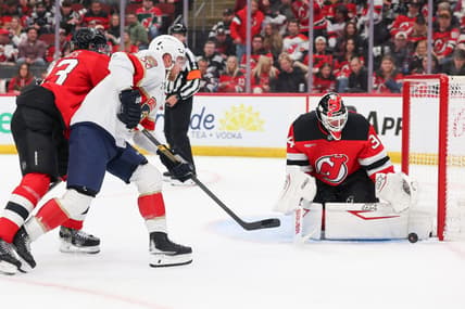 Florida panthers