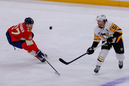 Florida panthers