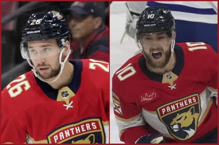 Florida panthers