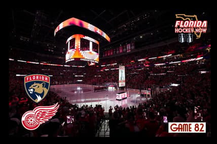 Panthers red wings
