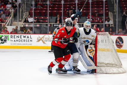 Charlotte checkers