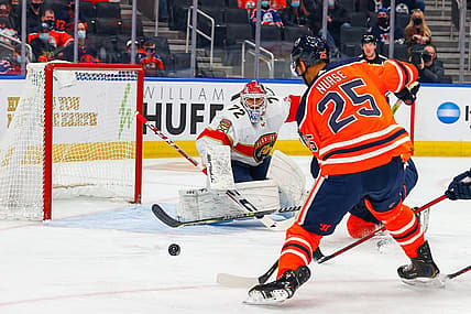 Florida panthers