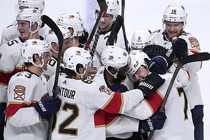 Florida panthers