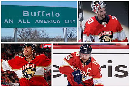 Florida panthers