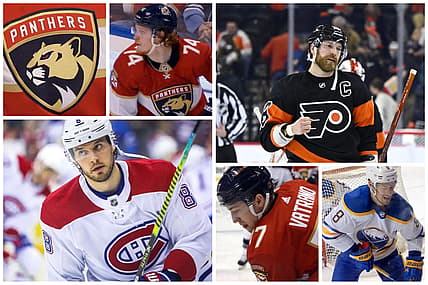 Florida panthers