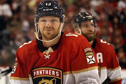 Florida panthers