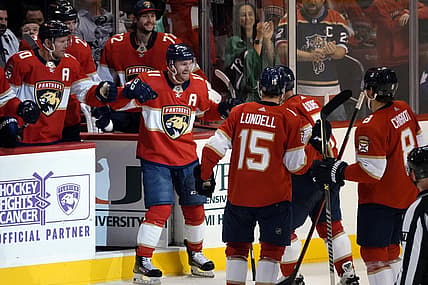 Florida panthers
