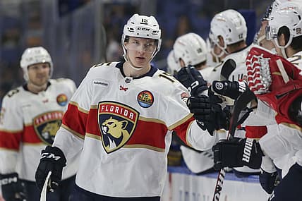 Florida panthers