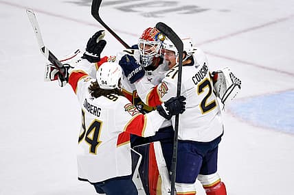 Florida panthers