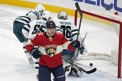 Florida panthers