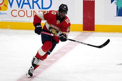 Anthony duclair panthers