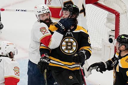 Panthers bruins