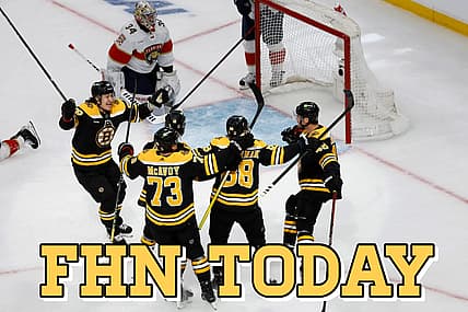 Panthers bruins