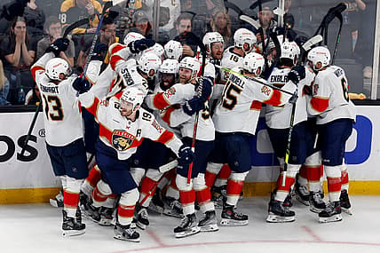 Panthers bruins