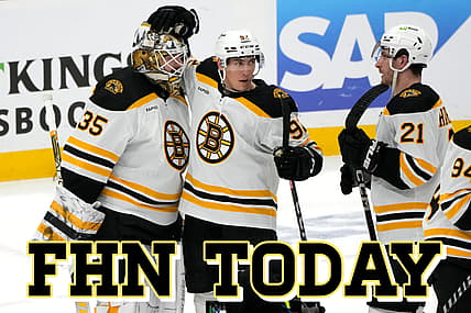 Panthers bruins