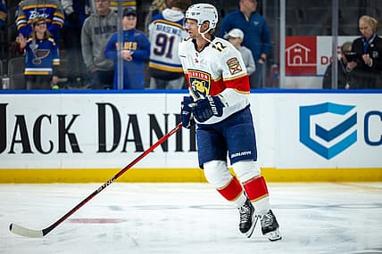 Florida panthers