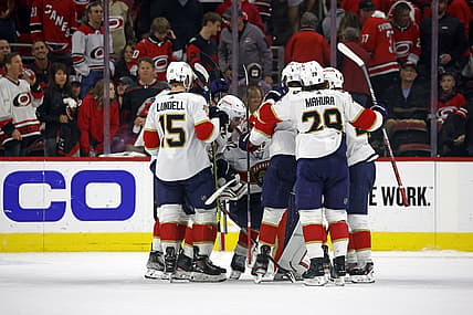 Florida panthers