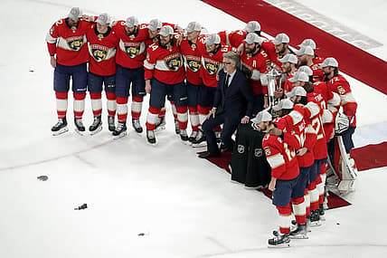 Florida panthers