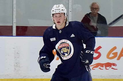 Florida panthers