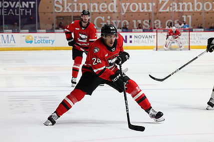 Florida panthers