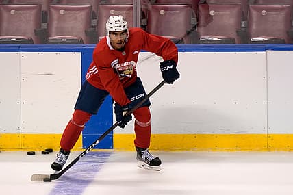 Florida panthers