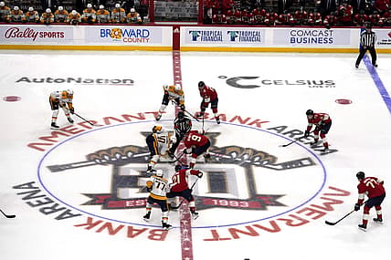 Florida panthers
