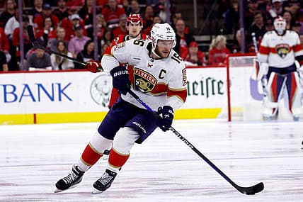 Barkov panthers