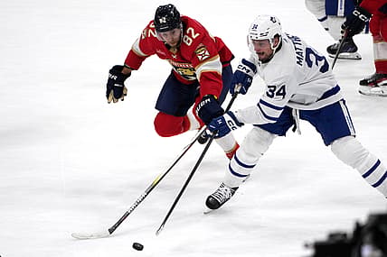 Florida panthers