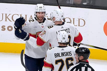 Florida panthers