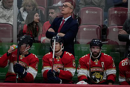 Florida panthers