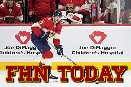 Florida panthers