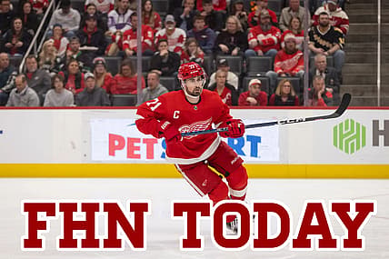 Wings bruins