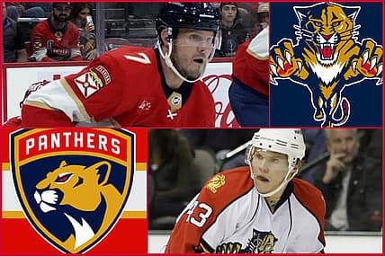 Kulikov panthers