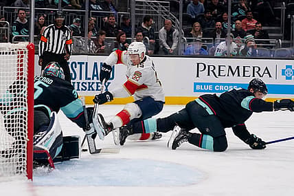 Florida panthers
