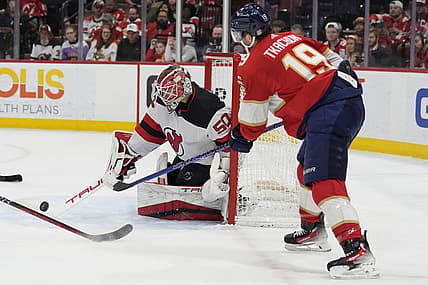 Florida panthers
