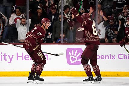 Panthers coyotes
