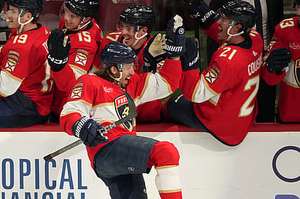Florida panthers