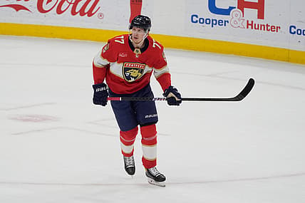 Florida panthers