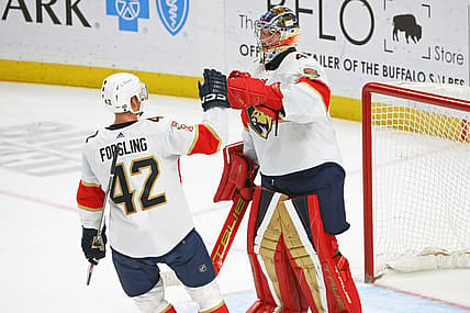Florida panthers