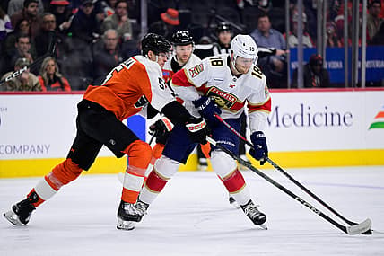 Florida panthers