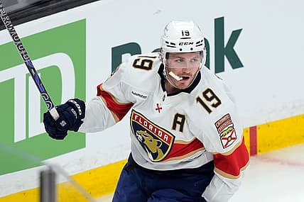 Florida panthers