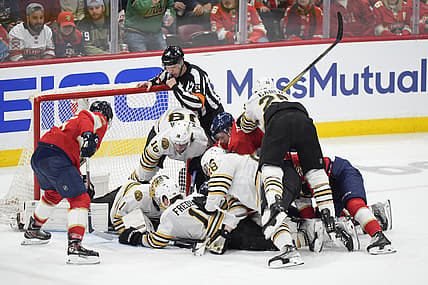 Panthers bruins