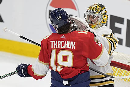 Panthers bruins
